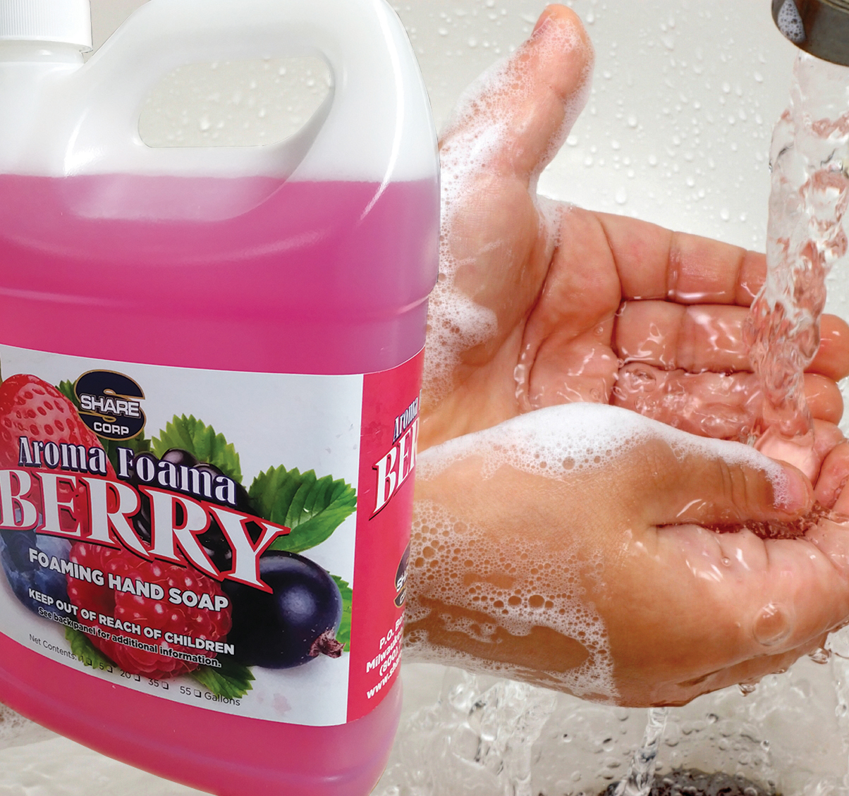 AROMAFOAMA BERRY [Foaming Hand Soap] Share Corp